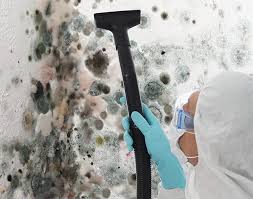 Best Water Damage & Mold Remediation  in USA